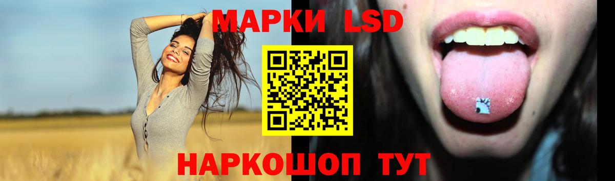 кракен как зайти  ЛСД экстази кислота  Вход с VPN  Зерноград 