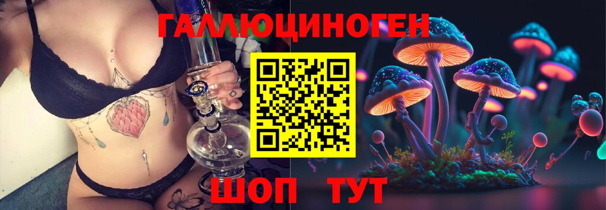 купить наркоту  Псилоцибиновые грибы MAGIC MUSHROOMS  Вход с VPN  Зерноград 